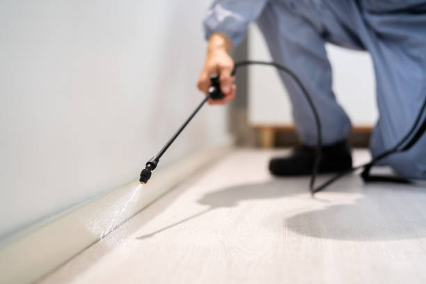 Licensed Termite Control service in Milam, TX - Nex Pest Control