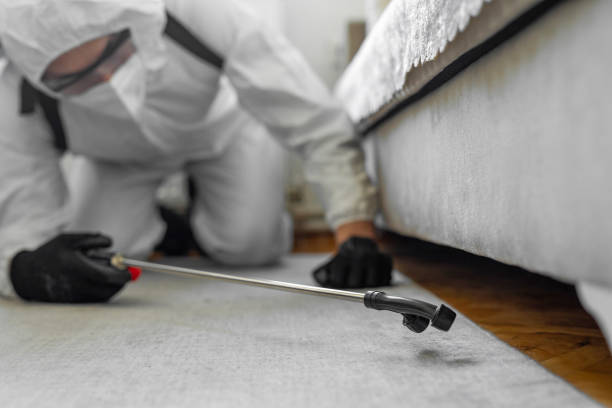 Professional Termite Control technician working in Milam, TX