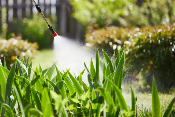 24/7 Emergency Termite Control experts in Milam, TX