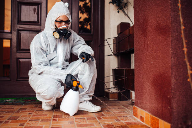 Reliable Termite Control contractor in Milam, TX by Nex Pest Control